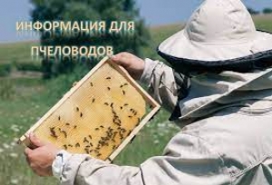 Вниманию пчеловодов!