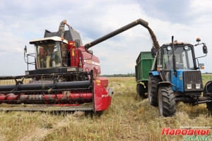 Во всех хозяйствах Ельского района началась уборочная кампания