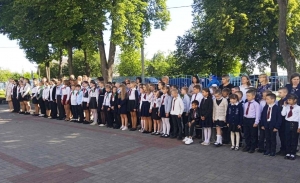 Торжественные линейки, посвящённые окончанию учебного года, прошли в учреждениях образования Ельского района