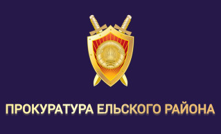 Прокуратура Ельского района: защитить права уязвимых категорий граждан и не допустить совершения более тяжких преступлений