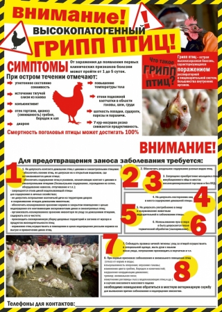 Птичий грипп