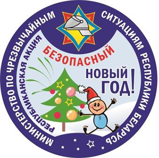 «Безопасный Новый год!»